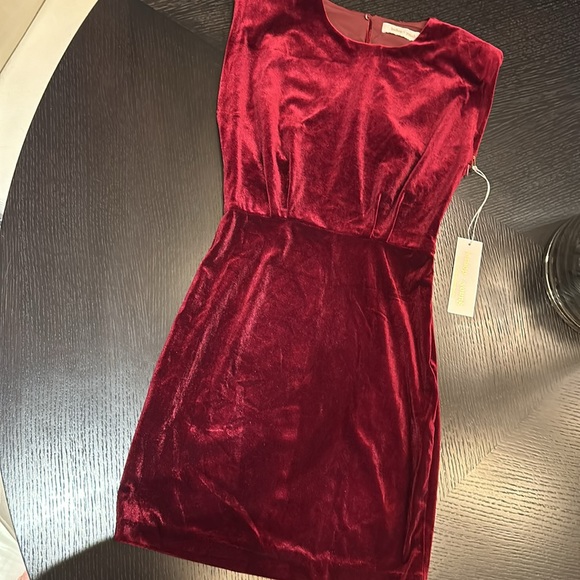 Bishop & Young Hayden red/burgundy Velvet Dress - Picture 9 of 9